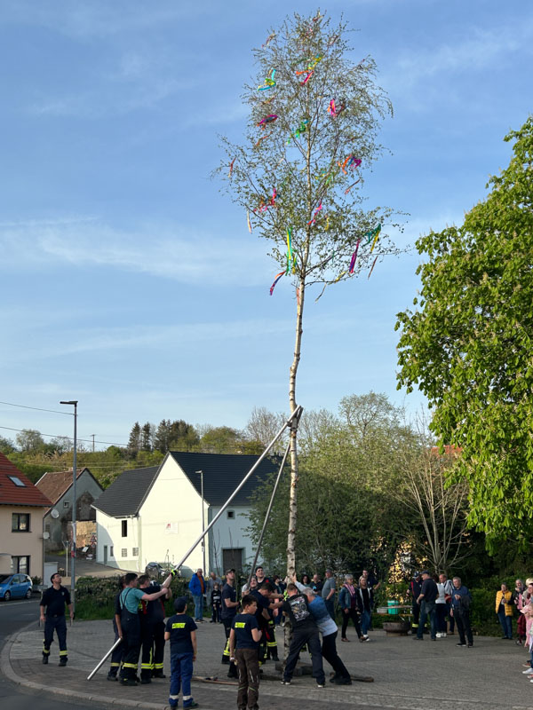 mainacht-2.jpg